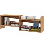 дуб золотистый