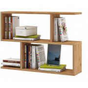 дуб золотистый