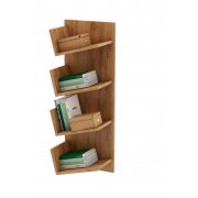 дуб золотистый