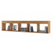 дуб золотистый