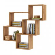 дуб золотистый