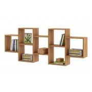 дуб золотистый