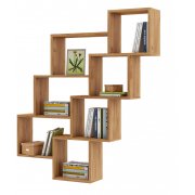 дуб золотистый