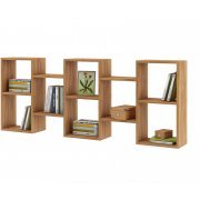 дуб золотистый