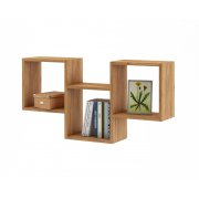 дуб золотистый