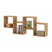 дуб золотистый