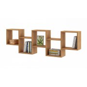 дуб золотистый