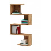 дуб золотистый