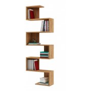 дуб золотистый