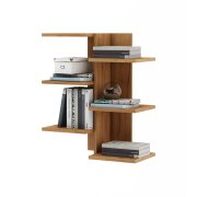 дуб золотистый