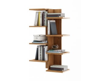 Полка Кевин