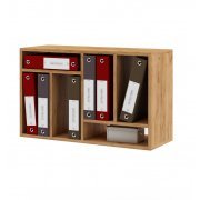 дуб золотистый