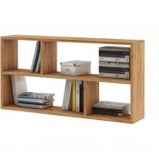 дуб золотистый