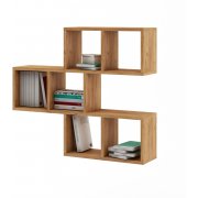 дуб золотистый