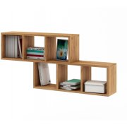 дуб золотистый