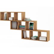 дуб золотистый