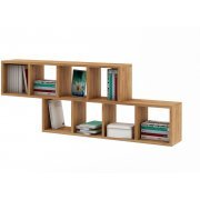 дуб золотистый