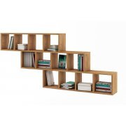 дуб золотистый