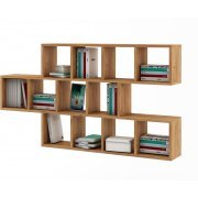 дуб золотистый