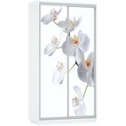 белая орхидея / белый снег