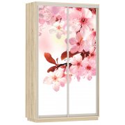 сакура / сонома