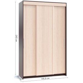 Шкаф-купе ШР-156.2