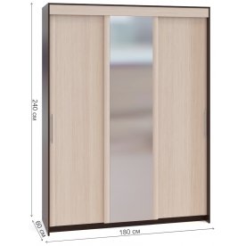 Шкаф-купе ШР-186.31