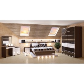 Шкаф-купе Николь МН-020-03 B5