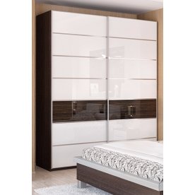 Шкаф-купе Николь МН-020-03 B6