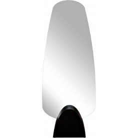 Зеркало Холо