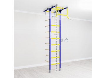 Детский спортивный комплекс для дачи R1 01.20.7.06.490.01.00-08 синяя слива