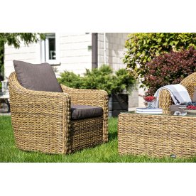 Кресло Доса