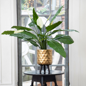 Кашпо Даймонд DMND-RND-24-GLD