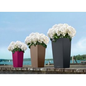 Кашпо Lechuza 13160 CUBICO Color 22