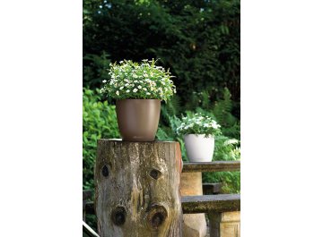 Кашпо Lechuza 13203 CLASSICO Color 28