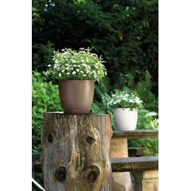 Кашпо Lechuza 13204 CLASSICO Color 28