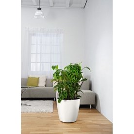 Кашпо Lechuza 13230 CLASSICO Color 43