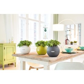 Кашпо Lechuza 13360 LECHUZA-PURO Color 20