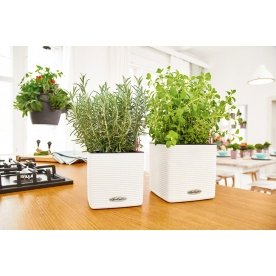 Кашпо Lechuza 13385 CUBE Color 14