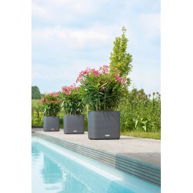 Кашпо Lechuza 13480 CUBE LS Color 35 белый