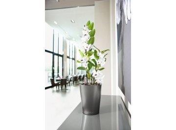 Кашпо Lechuza 14903 DELTINI