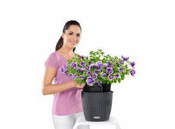 Кашпо Lechuza 15190 NIDO Cottage