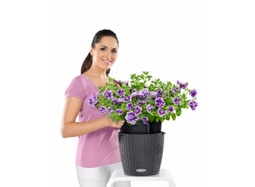 Кашпо Lechuza 15193 NIDO Cottage