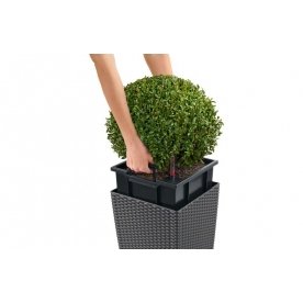 Кашпо Lechuza 15375 CUBE Cottage 30