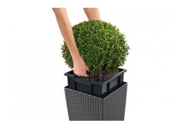 Кашпо Lechuza 15385 CUBE Cottage 40