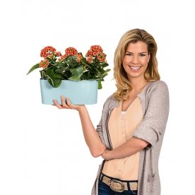 Кашпо Lechuza 15467 DELTA 10