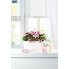 Кашпо Lechuza 15566 DELTA 20