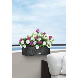 Кашпо Lechuza 15600 BALCONERA Cottage 50