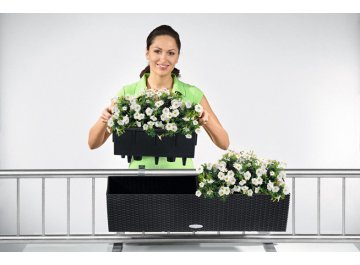 Кашпо Lechuza 15610 BALCONERA Cottage 80