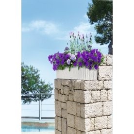 Кашпо Lechuza 15612 BALCONERA Cottage 80